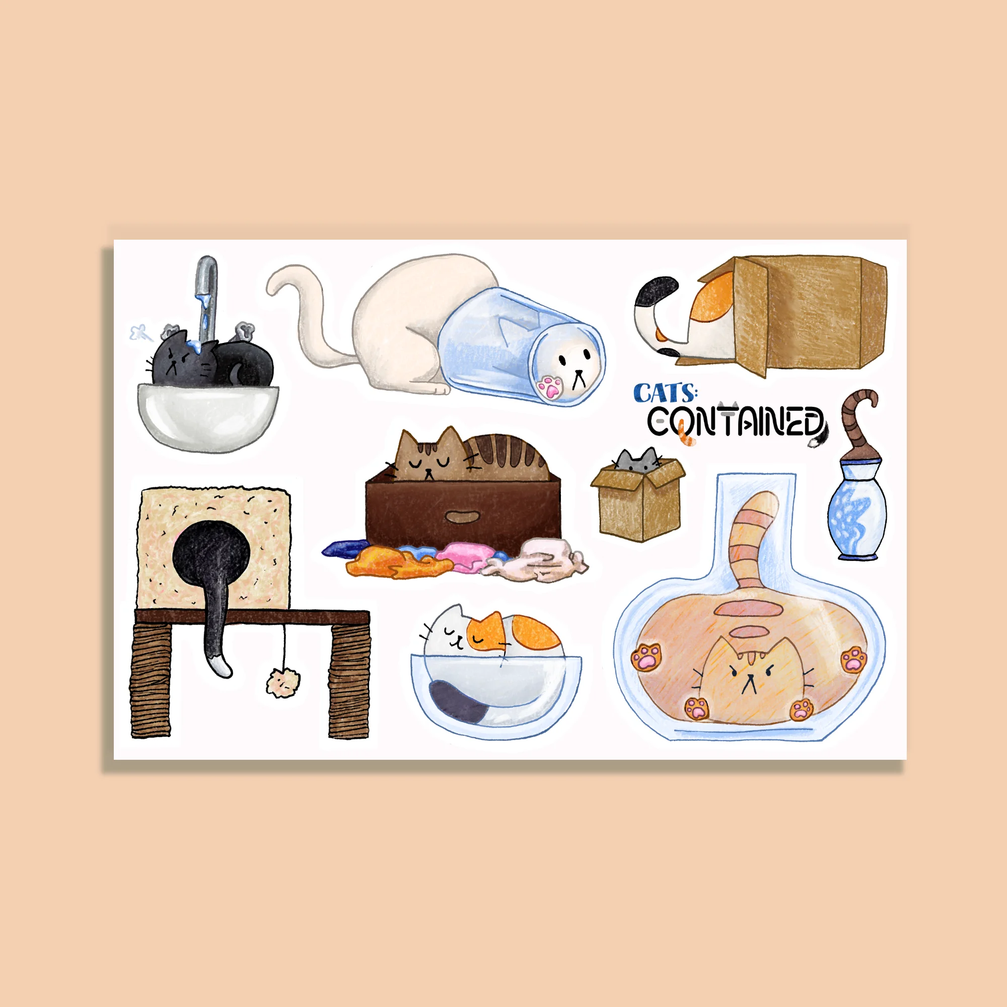 Cats Contained Sticker Sheet