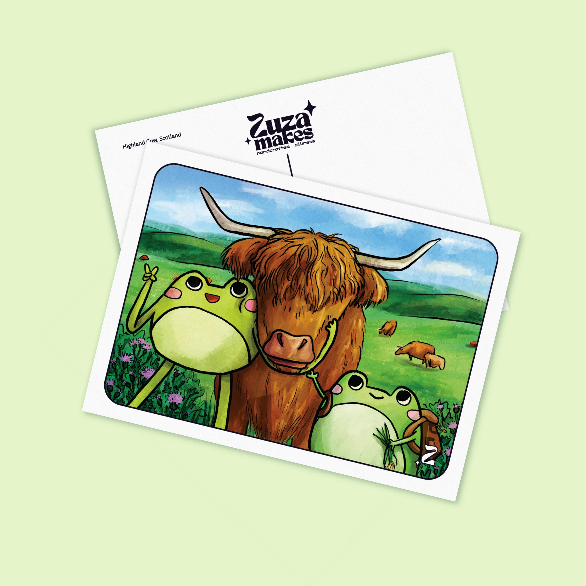 Scottish Cow Postcards